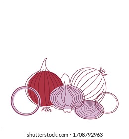 Vector fresh whole, half and slices red onion bulbs on white background. Hand line drawing vector set