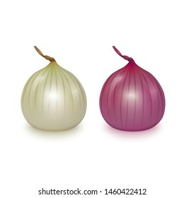 Vector fresh whole red and white onion bulbs on white background. Realistic vector EPS 10 format, 3d illustration
