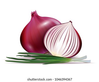 Vector fresh whole and sliced red onion bulbs with green onions close up isolated on white background