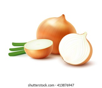 Vector Fresh Whole and Sliced Yellow Onion Bulbs with Chopped Green Onions Close up Isolated on White Background