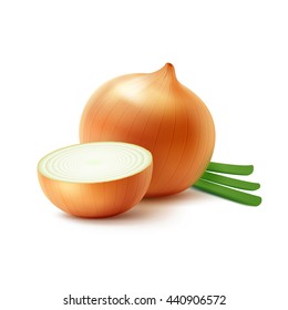 Vector Fresh Whole and Sliced Yellow Onion Bulbs with Chopped Green Onions Close up Isolated on White Background