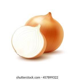 Vector Fresh Whole and Sliced Yellow Onion Bulbs Close up Isolated on White Background