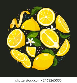 Vector freshness lemon fruits whole, half, slices, lemon cedar, blooming flowers, and leaves in round shape with decorative dottes isolated on dark background.