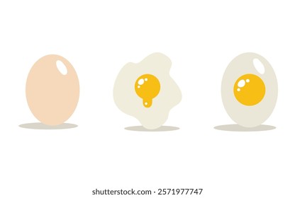 Vector Fried Egg, Sunny-Side-Up and Hard Boiled Egg Set, Closeup, Isolated. Healthy Breakfast, Protein Food Clipart. Eggs vector illustration.