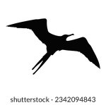 Vector frigate bird silhouette isolated on a white background.