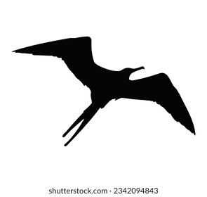 Vector frigate bird silhouette isolated on a white background.