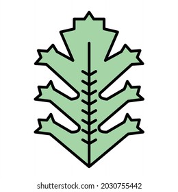 Diseño del icono de contorno relleno de Vector Frisee
