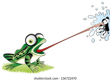 Vector. Frog.
