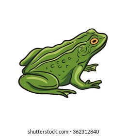 Vector Frog