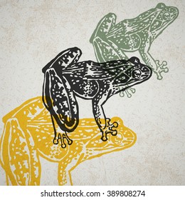 Vector frog in abstract composition. Engraved Frogs in different colors on old paper