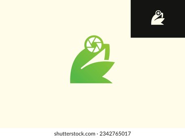 a vector, frog camera logo design is a logo design that illustrates a simple frog with a flat design style combined with a camera lens object in its eye.