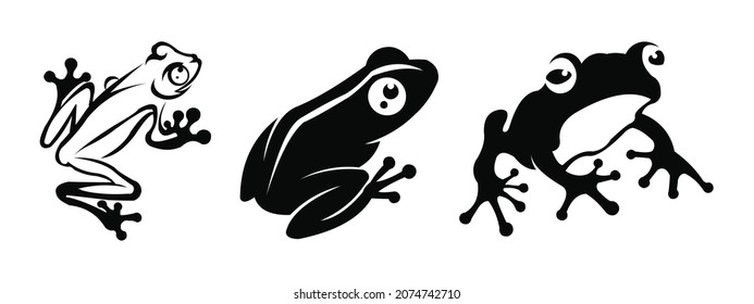 Vector of frog design Amphibian  Animal, Frog logo or Icon