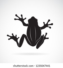 Vector of frog design on white background. Amphibian. Animal. Frog Icon. Easy editable layered vector illustration.