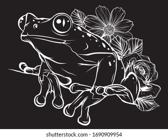 vector frog with flower in black background