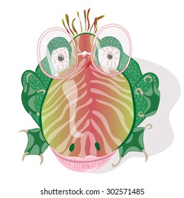 Vector Frog with glasses