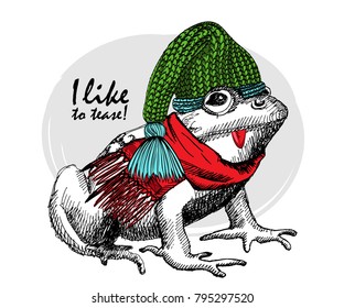 Vector frog with green knitted hat and  red scarf. Hand drawn illustration of dressed frog.