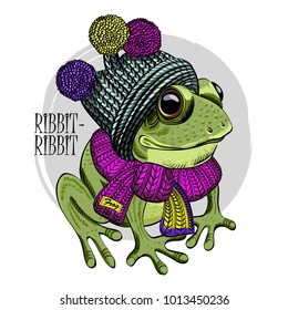 
Vector frog with knitted hat and scarf. Hand drawn illustration of dressed frog.
