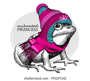 Vector frog with knitted hat and scarf. Hand drawn illustration of dressed frog.