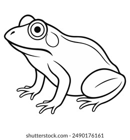 vector frog line art free download.