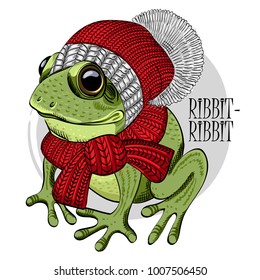 Vector frog with red knitted hat and scarf. Hand drawn illustration of dressed frog. 