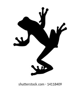 Vector Frog Silhouette On The White Background