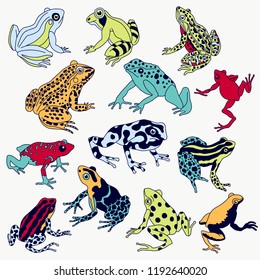 Vector frogs set hand drawn illustration. Violet contour, various colors, fully editable image.