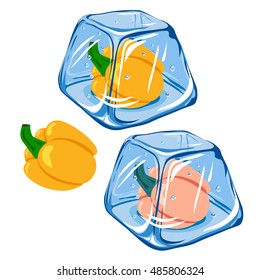 Vector Frozen pepper in ice cube isolated on white background EPS 8