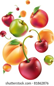 vector fruit