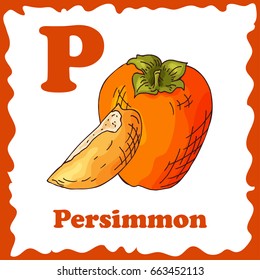 Vector fruit alphabet for education. Illustration for kids. Letter P for Persimmon