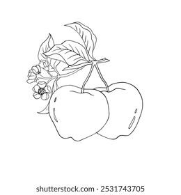 Vector fruit or apple in the garden with white background.