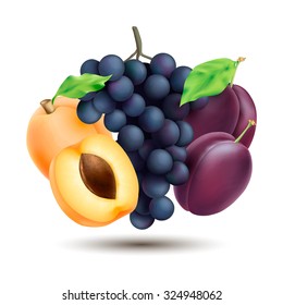 Vector fruit banner. Grape twig, apricots and plums. EPS 10 illustration for food design 