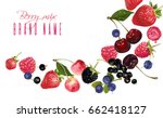 Vector fruit banner with mix of falling berries on white background. Design for natural cosmetics, dessert menu, sweets and pastries filled with berries, health care products. With place for text