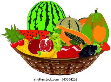 Vector Fruit Basket healthy tropical fresh food meal rich vitamins green grape cherry apple banana papaya melon watermelon pomegranate Pineapple tree seed leaf complementary nutrition sugar free