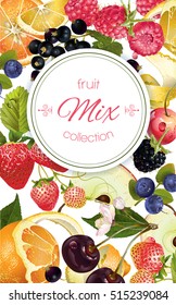 Vector fruit and berry banner. Design for juice, tea, ice cream, jam, natural cosmetics, sweets and pastries filled with fruit, dessert menu, health care products. With place for text