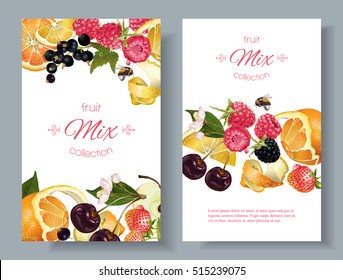 Vector Fruit And Berry Banners. Design For Juice, Tea, Ice Cream, Jam, Natural Cosmetics, Sweets And Pastries Filled With Fruit, Dessert Menu, Health Care Products. With Place For Text