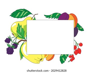 Vector fruit and berry frame. Harvest, apple, pear, plum, hawthorn, blackberry, apricot. Design for greeting card, invitation, recipe book. 