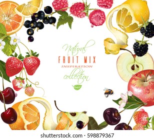 Vector fruit and berry mix horizontal banner on white. Design for juice, tea, ice cream, natural cosmetics, sweets and pastries filled with fruit, dessert menu,health care products.With place for text