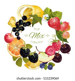 Vector Fruit And Berry Wreath. Design For Juice, Tea, Ice Cream, Jam, Natural Cosmetics, Sweets And Pastries Filled With Fruit, Dessert Menu, Health Care Products. With Place For Text