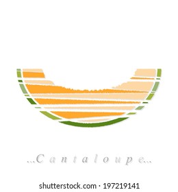 Vector of fruit, cantaloupe icon on isolated white background