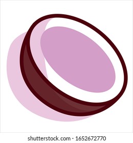 Vector Fruit Cartoon Halved Coconut Fruit Isolated
