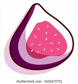 Vector Fruit Cartoon Halved Fruit Fig Isolated