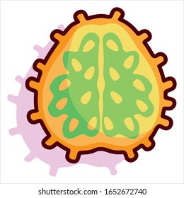 Vektorillustration Fruchtkartoon Gelb Kiwano Früchte einzeln
