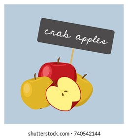 Vector Fruit - Crab Apples