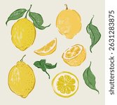 Vector fruit doodle illustration of juicy lemons and green leaves. Hand-drawn garden harvest sketch. Organic farm graphics. Tasty food for design, veggie market drawing print, fabric or background.