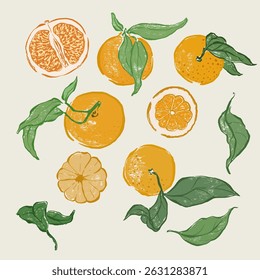 Vector fruit doodle illustration of juicy orange and green leaves. Hand-drawn garden harvest sketch. Organic farm graphics. Tasty food for design, veggie market drawing print, fabric or background.