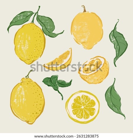 Vector fruit doodle illustration of juicy lemons and green leaves. Hand-drawn garden harvest sketch. Organic farm graphics. Tasty food for design, veggie market drawing print, fabric or background.