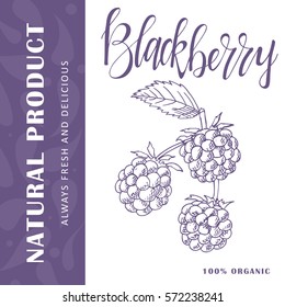 Vector fruit element of blackberry. Hand drawn icon with lettering. Food illustration for cafe, market, menu design