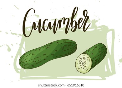 Vector fruit element of cucumber. Hand drawn icon with lettering. Food illustration for cafe, market, menu design.