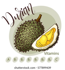 Vector fruit element of durian. Hand drawn icon with lettering. Food illustration for cafe, market, menu design