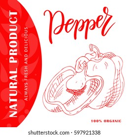 Vector fruit element of pepper. Hand drawn icon with lettering. Food illustration for cafe, market, menu design